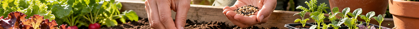 Come fare una semina perfetta: guida completa per orto, balcone e giardino