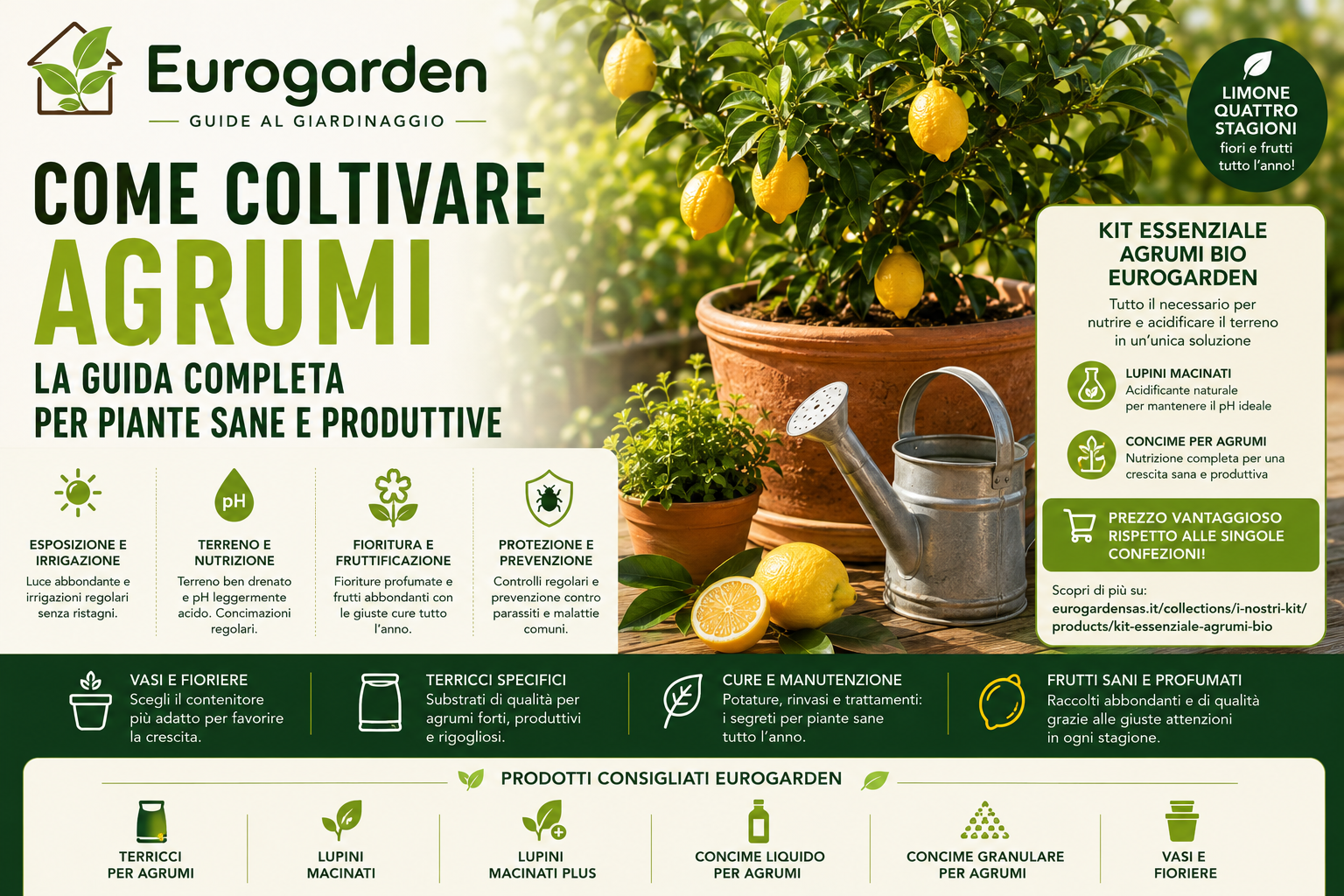 Come coltivare un limone in vaso: guida completa per ottenere frutti sani e profumati