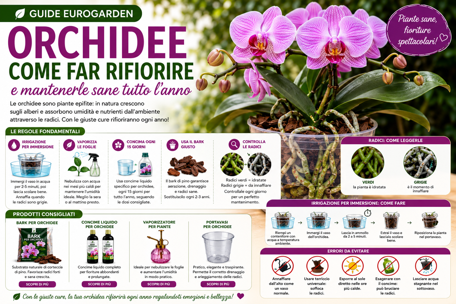 Come far rifiorire le orchidee e mantenerle sane tutto l'anno