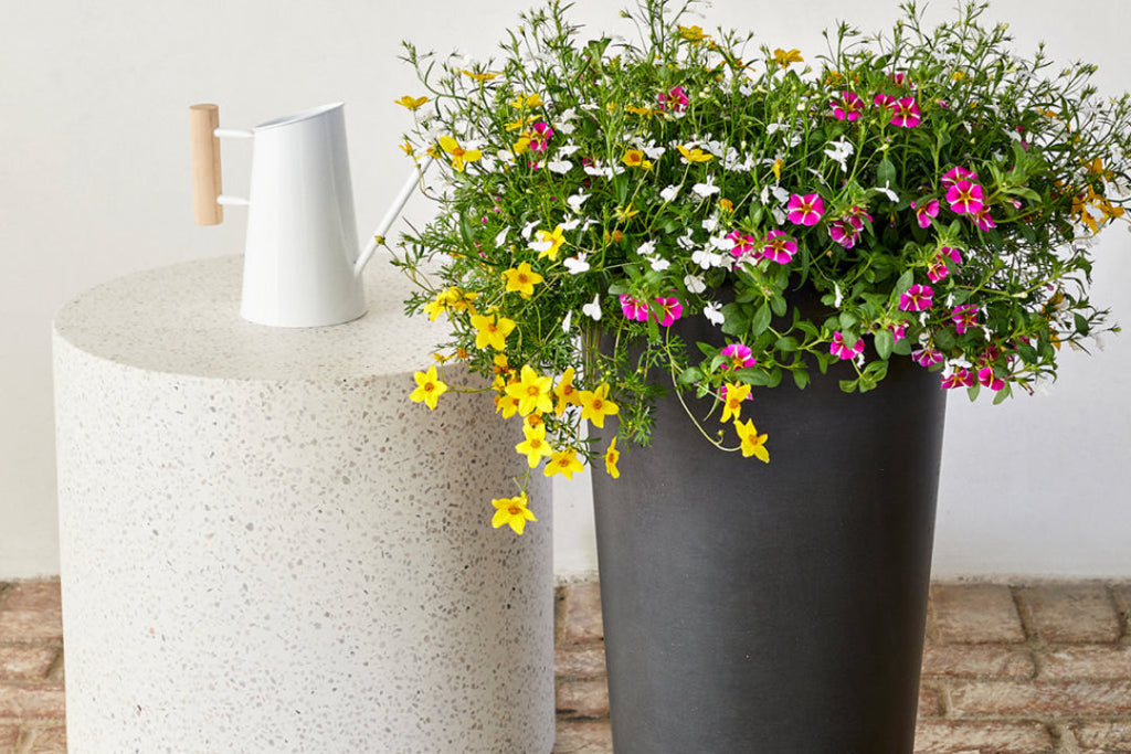 Caring for Combination Bloom Kits