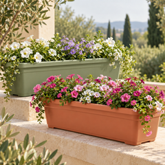 Collection image for: Balconette