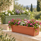 Balconette