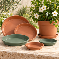 Collection image for: Sottovasi