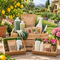 I Nostri Kit