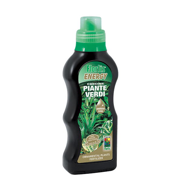 Energy Concime per Piante Verdi 500 g - EUROGARDEN