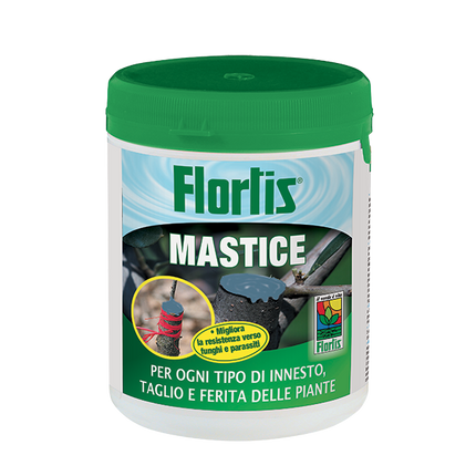 Mastice per Potature Pasta Fluida 500 g