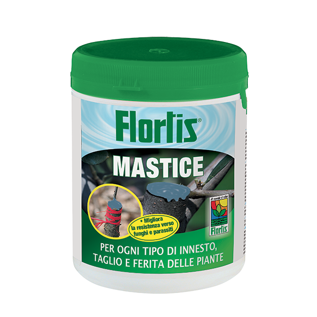 Fluid Paste Mastic 500 gr