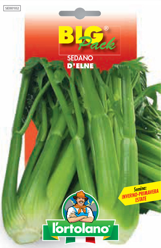 Sedano