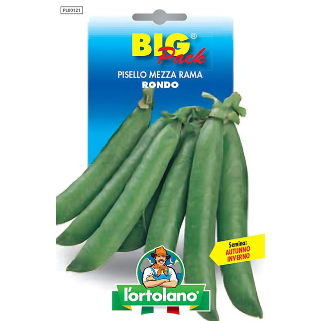 Pea Half-Tall Rondo