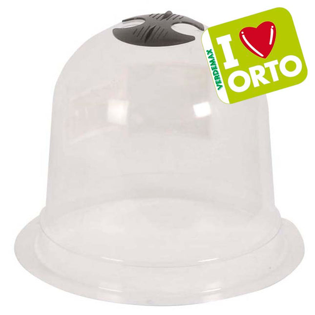 Campana