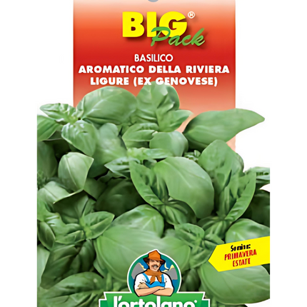 Semi di Basilico Genovese