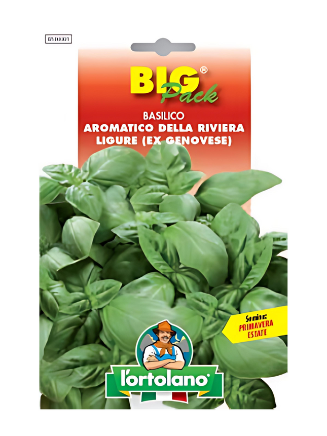 Genovese Basil