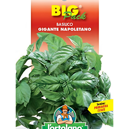 Semi di Basilico Gigante Napoletano