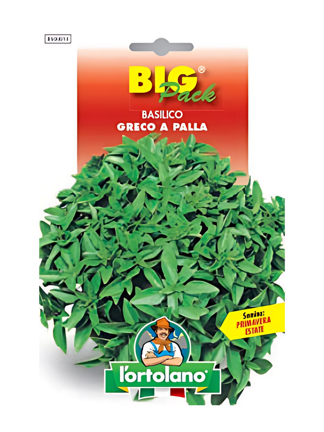 Greek Bush Basil