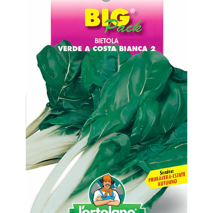 Semi di Bietola Verde a Costa Bianca - EUROGARDEN