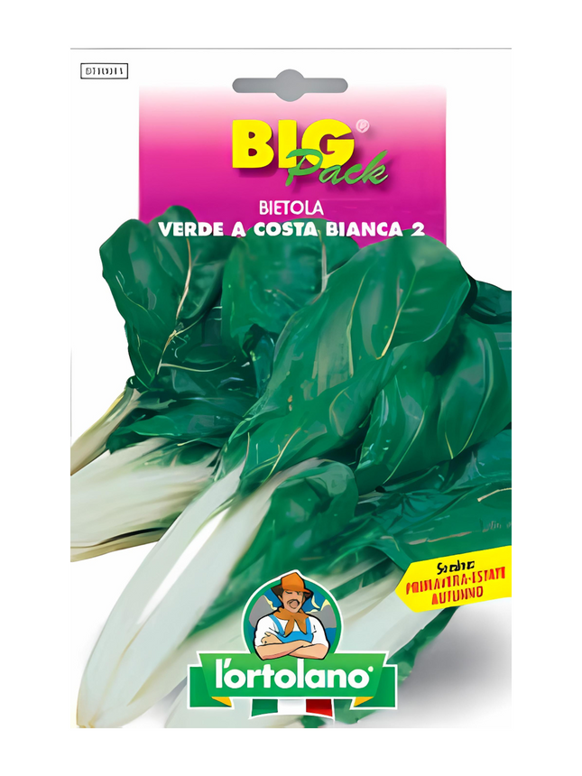 White-Ribbed Chard