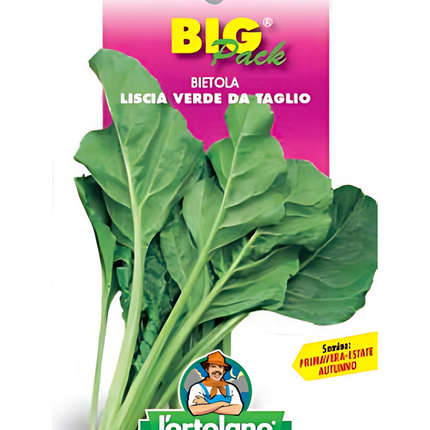 Semi di Bietola Verde da Taglio