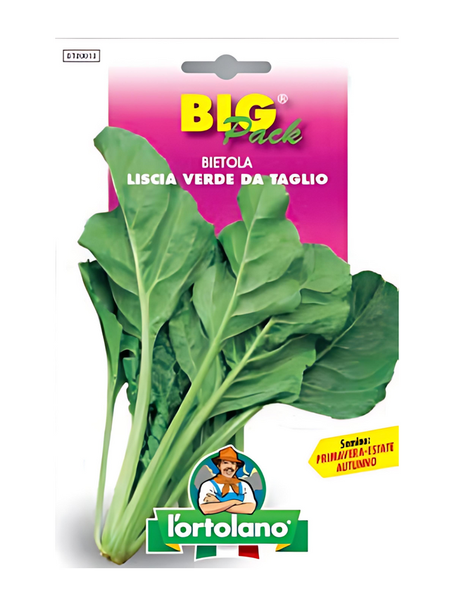 Green Cut Chard