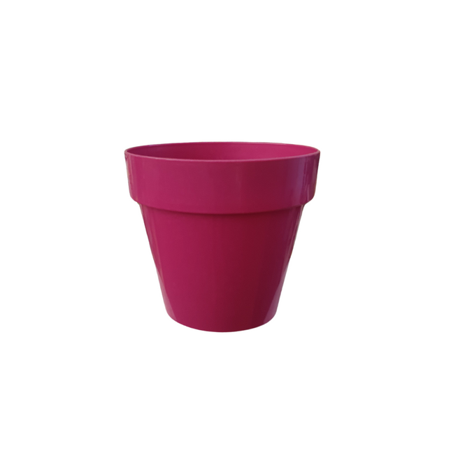 Plastic Blueberry Pot Cover