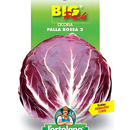 Semi di Cicoria a Palla Rossa - EUROGARDEN