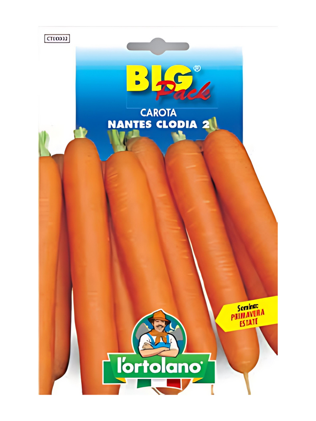 Carrot