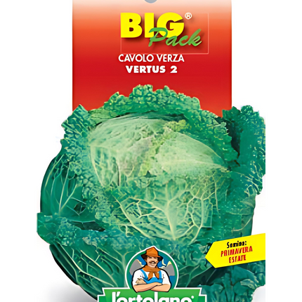 Semi di Cavolo Verza