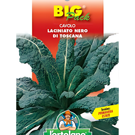 Semi di Cavolo Lacinato Nero Toscano