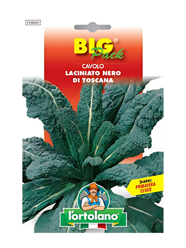 Black Tuscan Kale