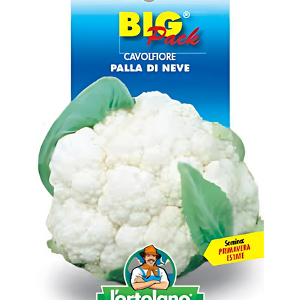 Cavolfiore Palla Di Neve