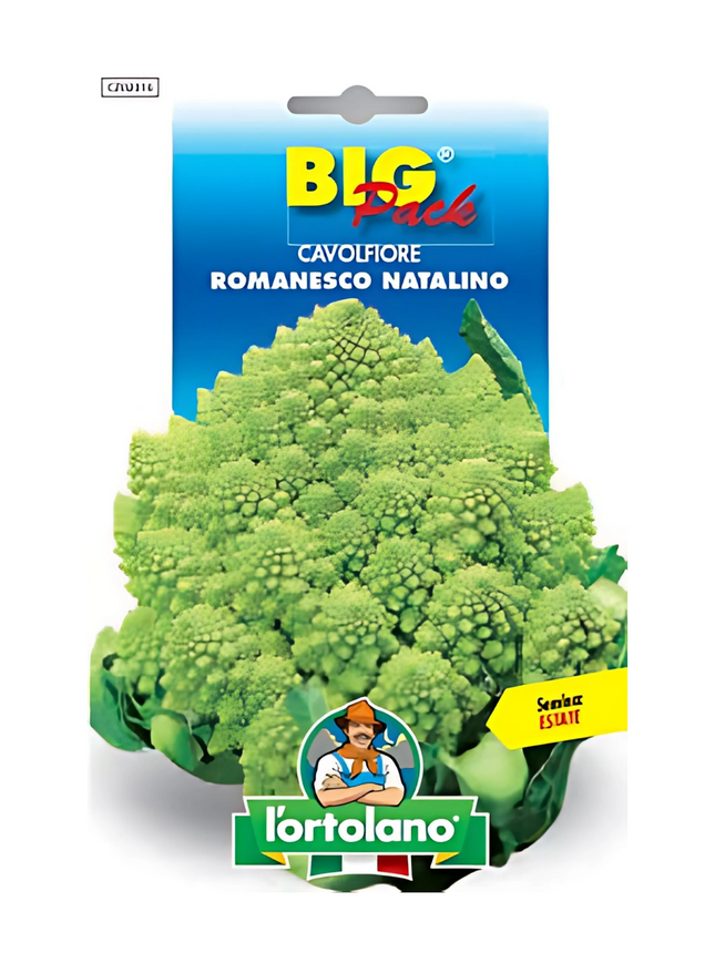 Romanesco Natalino Cauliflower