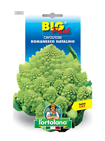 Cavolfiore Romanesco Natalino