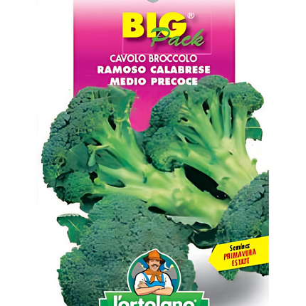 Semi di Cavolo Broccolo Ramoso Calabrese