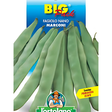 Semi di Fagiolo Piatto Nano Marconi