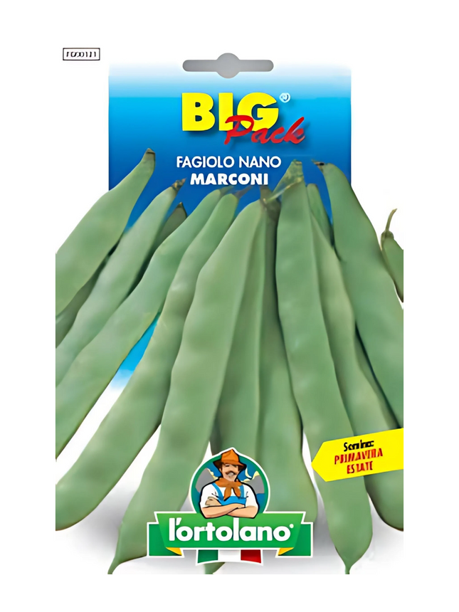 Dwarf Flat Bean Marconi