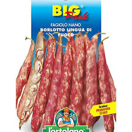Semi di Fagiolo Nano Borlotto Lingua di Fuoco