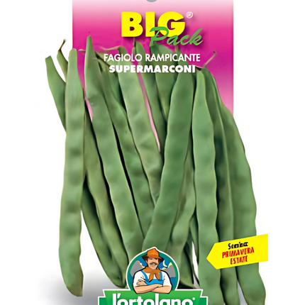 Semi di Fagiolo Piatto Rampicante