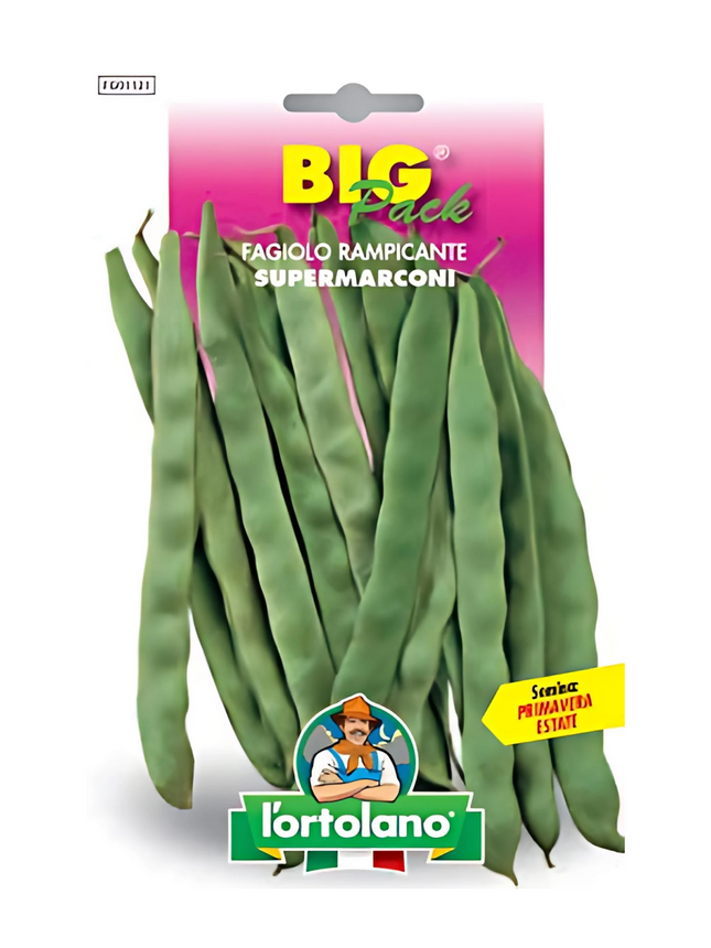 Flat Climbing Bean