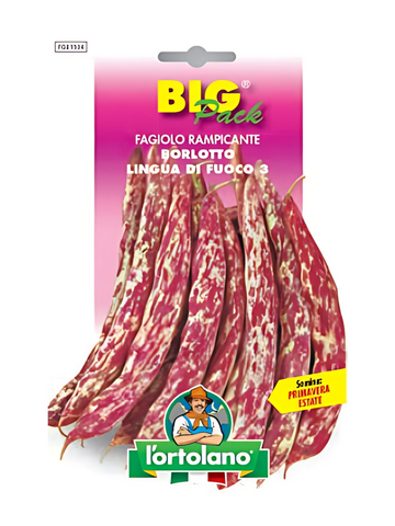 Fagiolo Rampicante Borlotto Lingua Di Fuoco