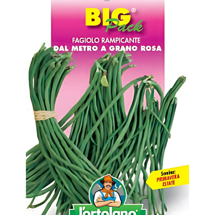 Semi di Fagiolo Rampicante dal Metro a Grano Rosa
