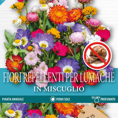 Collection image for: Semi Fiori