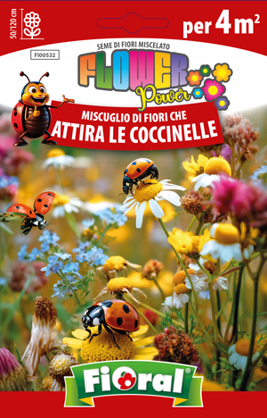 Semi Miscuglio Di Fiori Che Attira Le Coccinelle