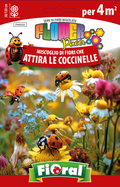 Miscuglio Di Fiori Che Attira Le Coccinelle