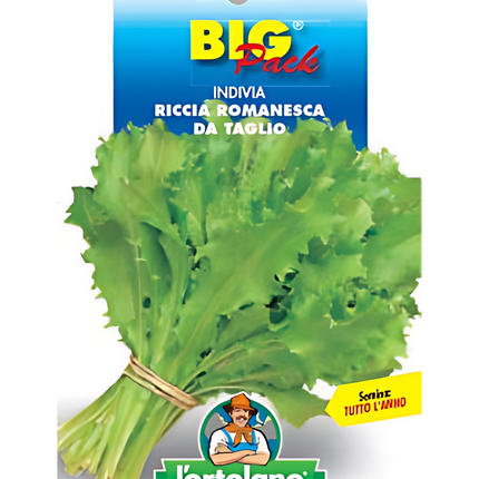 Semi di Indivia Riccia Romanesca da Taglio