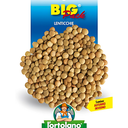 Semi di Lenticchie