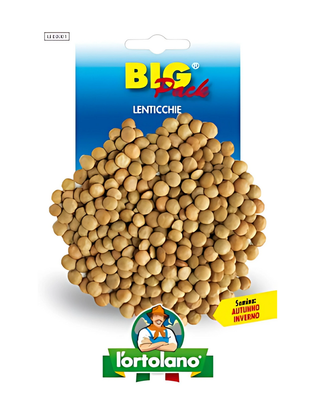 Lentils
