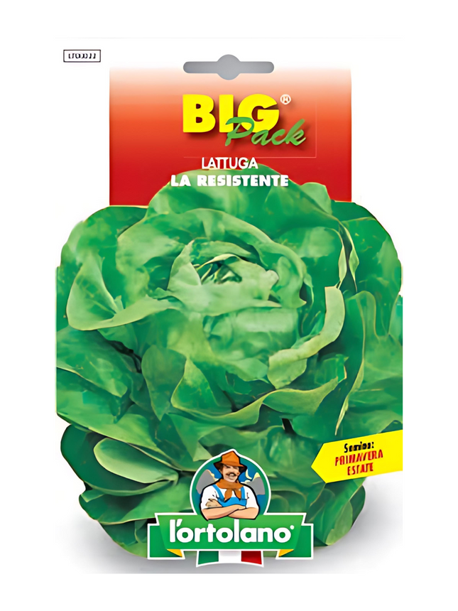 Lettuce La Resistente