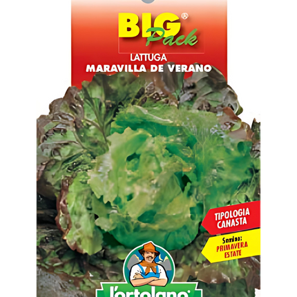 Semi di Lattuga Canasta