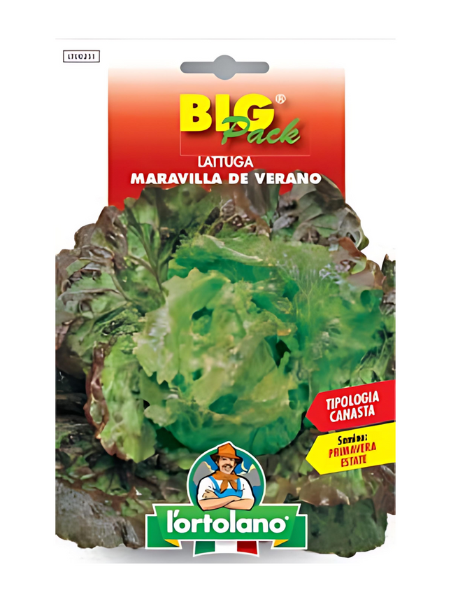 Canasta Lettuce