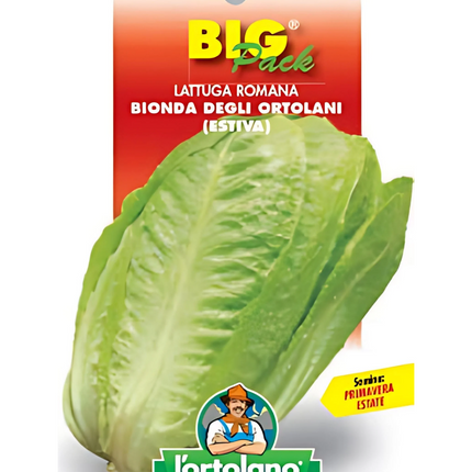 Semi di Lattuga Romana