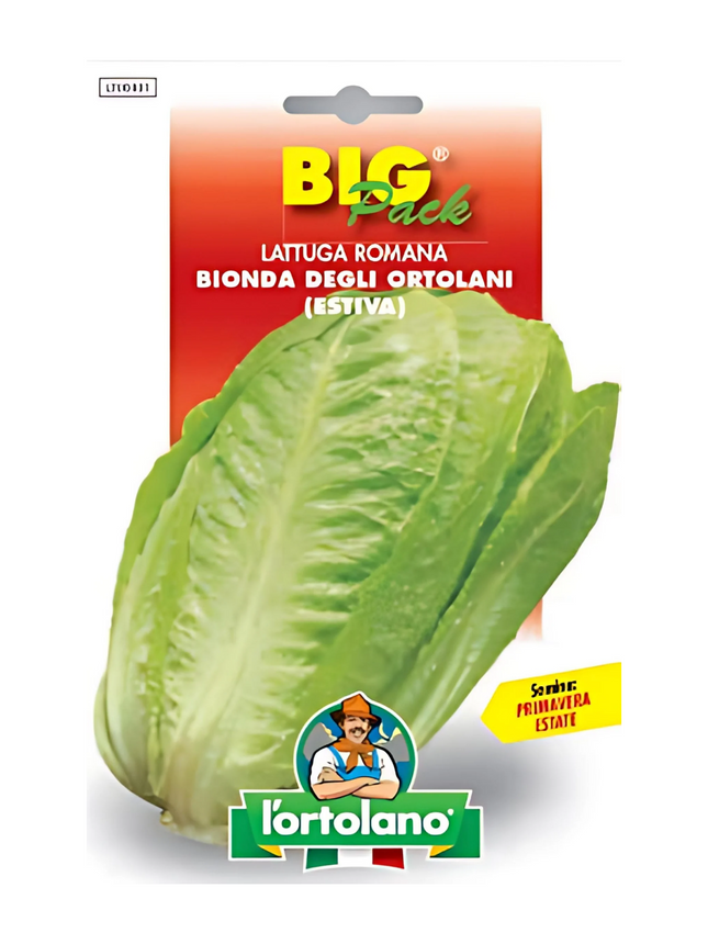 Romaine lettuce